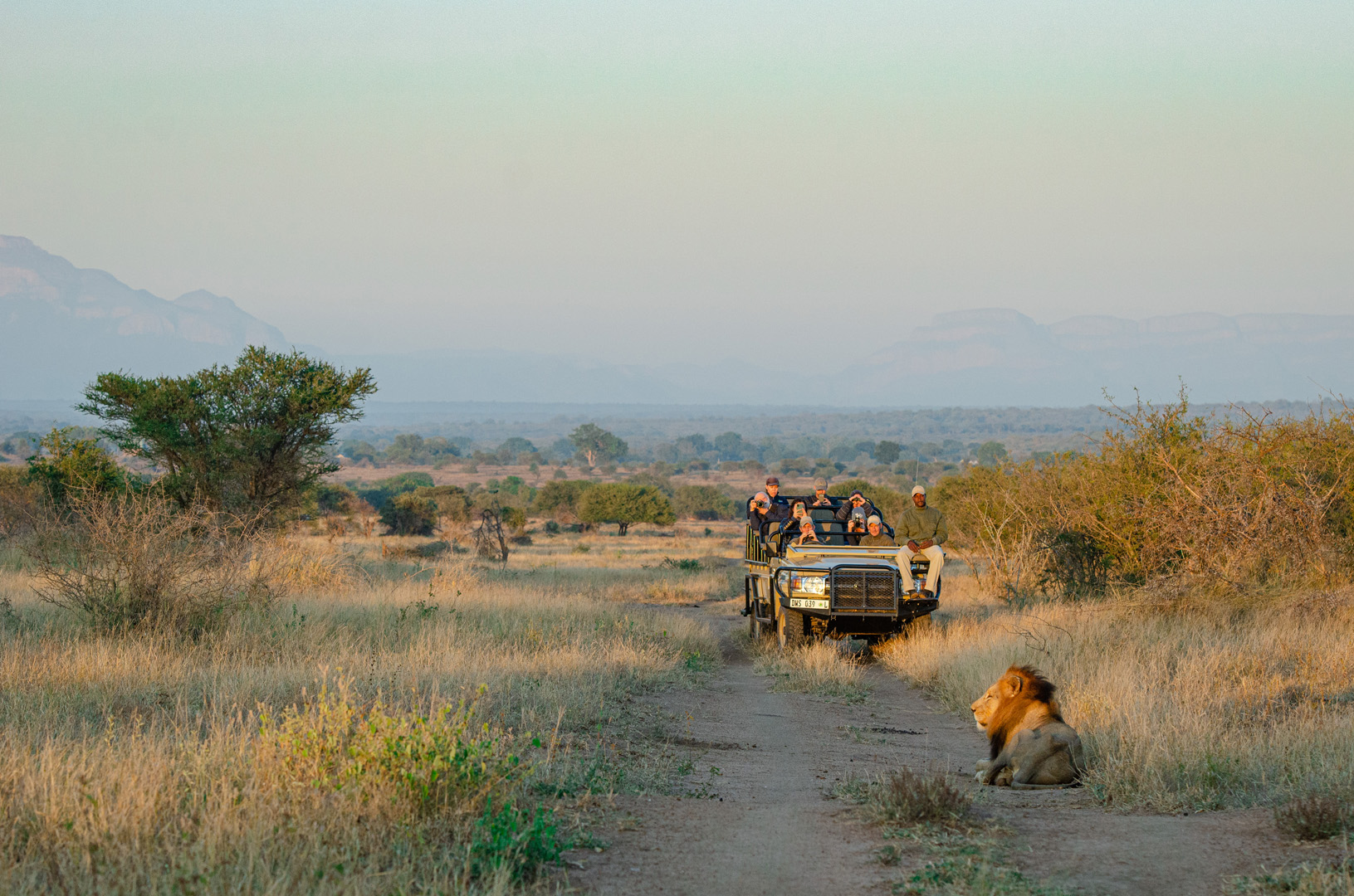 Walkers Plains Camp