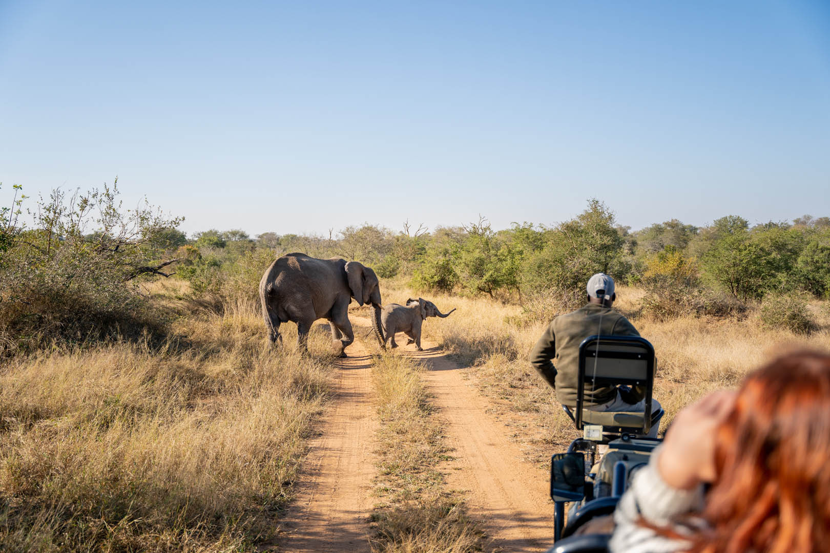 Walkers Plains Camp Morning Game Drive 1