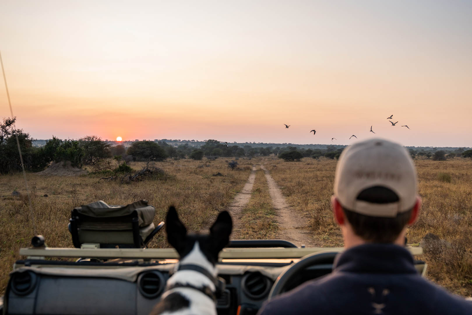 Walkers Plains Camp Morning Game Drive 4