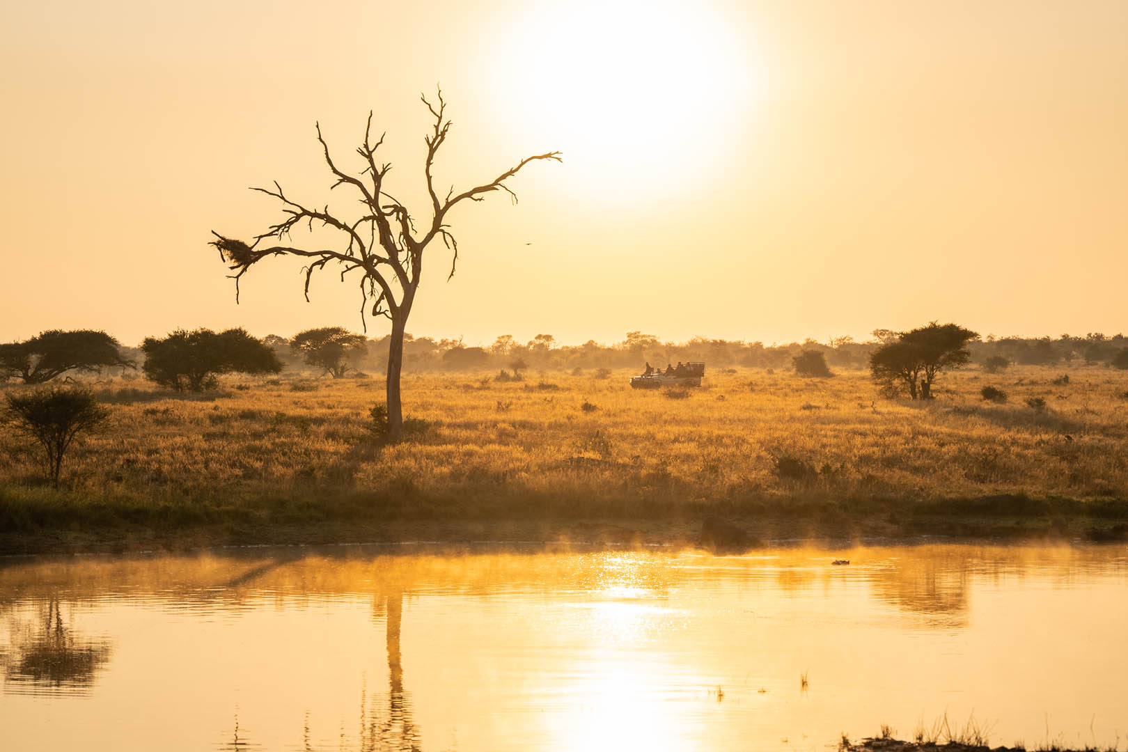 Walkers Plains Camp Morning Game Drive 8