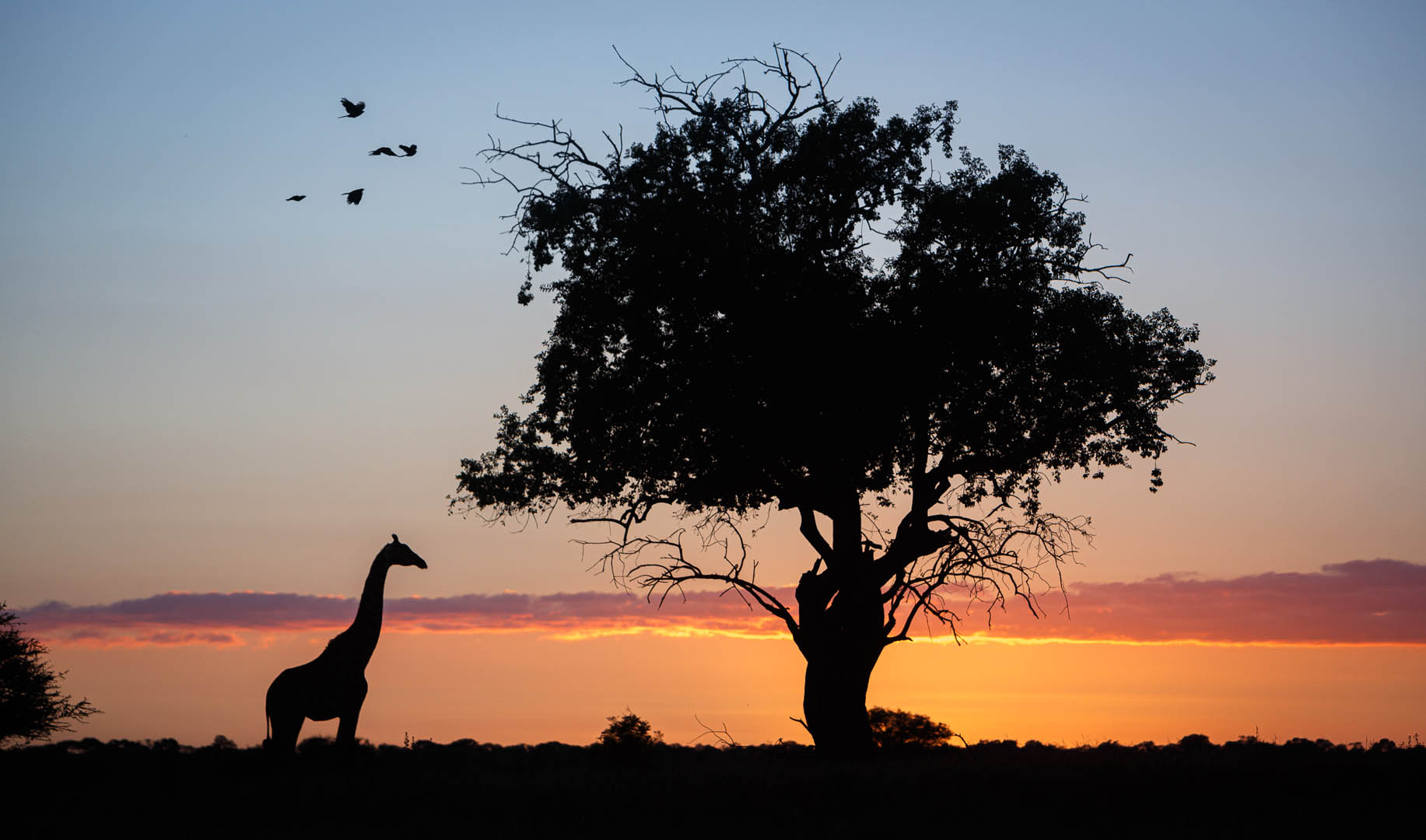 Walkers Plains Camp